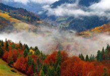 Відпочинок в Карпатах: як дешево та з комфортом дістатися до Буковелю