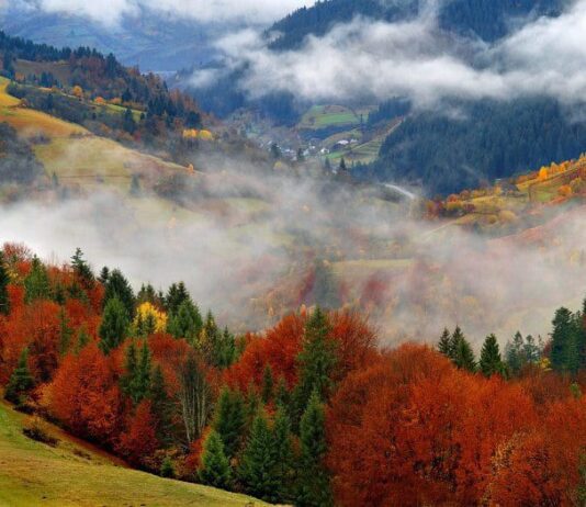 Отдых в Карпатах: как дешево и с комфортом добраться до Буковеля