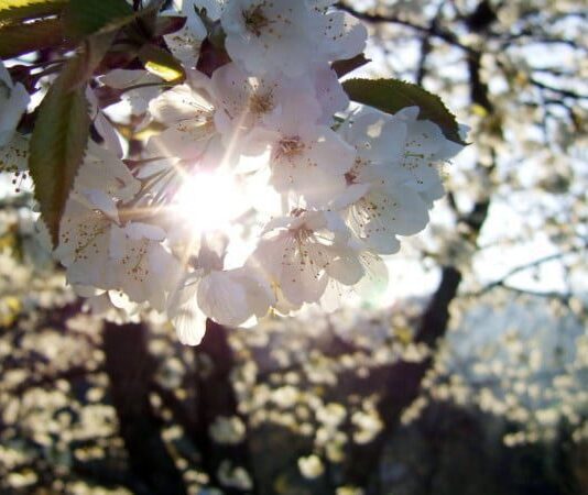 На Тернопольщину наконец возвращается тепло