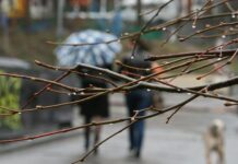 Тернополян ожидает прохладная неделя