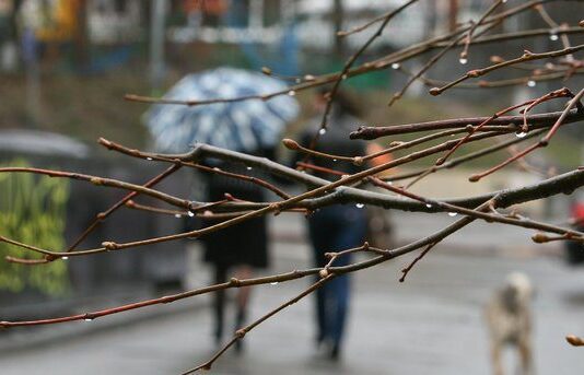 Тернополян ожидает прохладная неделя