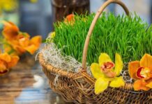 В кінці березня деякі народи святкують Новий рік