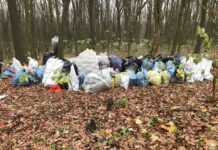 Волонтеры начали ликвидацию мусорного полигона у тернопольского пруда