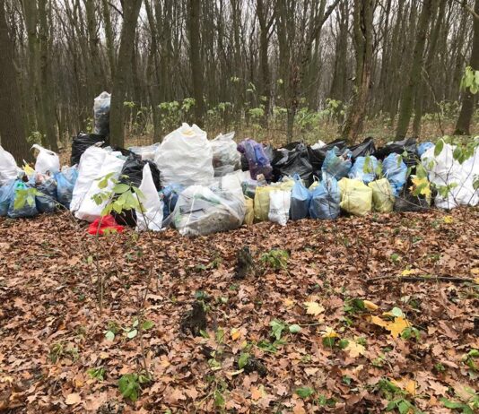 Волонтеры начали ликвидацию мусорного полигона у тернопольского пруда