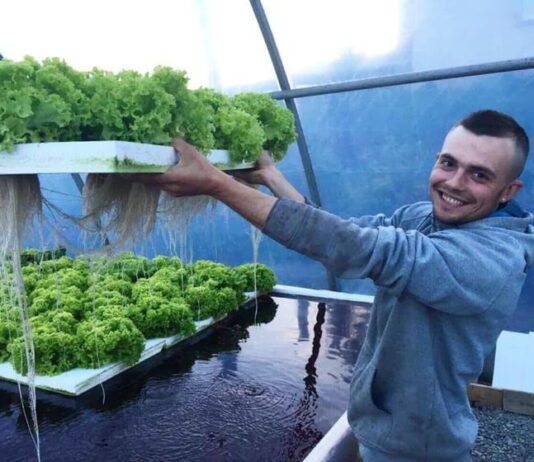 На Тернопільщині подружжя вирощує унікальні їстівні квіти