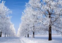 На Тернопільщину знову йдуть морози