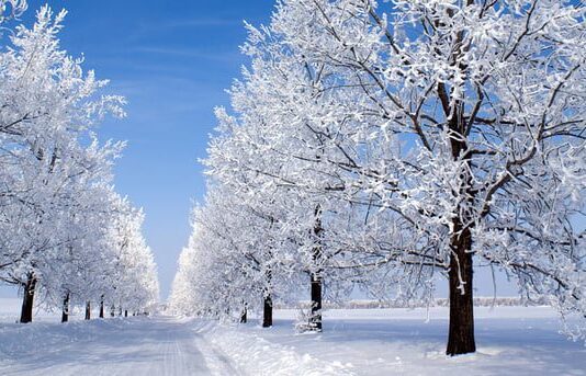 На Тернопольщину снова идут морозы