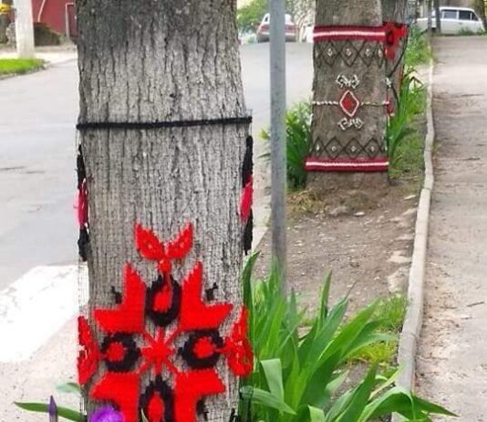 На Тернопольщине деревья одели в вышиванки