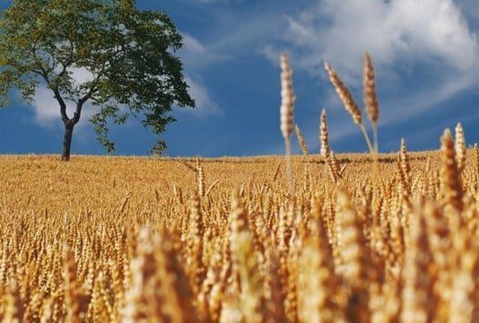 Тернополь установил новый рекорд лета