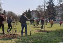 В Тернополе реализуют проект «Озеленение Украины»