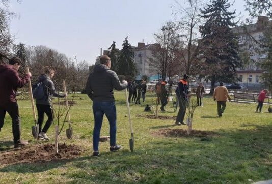 В Тернополе реализуют проект «Озеленение Украины»