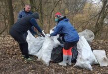 «Green team»: тернопольские активисты создали экогрупу