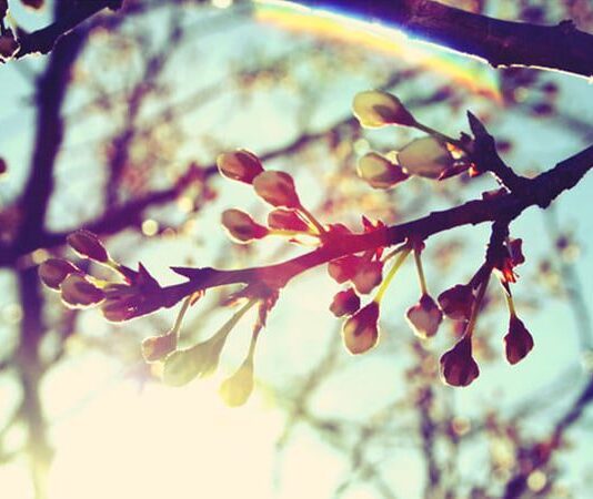 На Тернопольщину придет антициклон