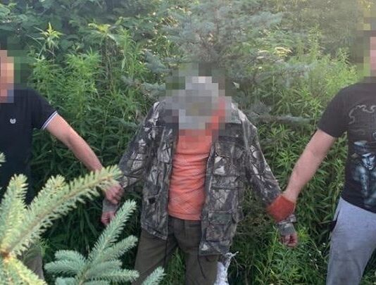 На Тернопольщине лесник продавал елки за взятки