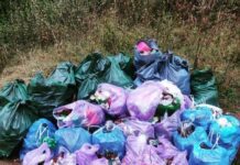 В Тернополе молодые люди самостоятельно убрали набережную пруда