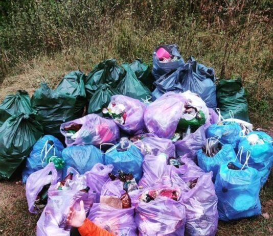 В Тернополе молодые люди самостоятельно убрали набережную пруда