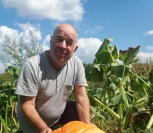 На Тернопольщине мужчина вырастил гигантские тыквы