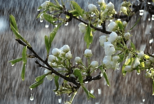 На Тернопольщину пришел новый циклон: какие сюрпризы он готовит