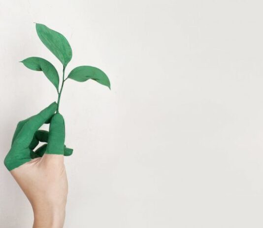 Во всеукраинский экопроект отобрали 5 школ Тернопольщины