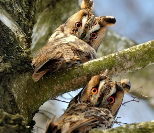 Фото природы Тернопольщины вошло в Топ-10 лучших фотографий