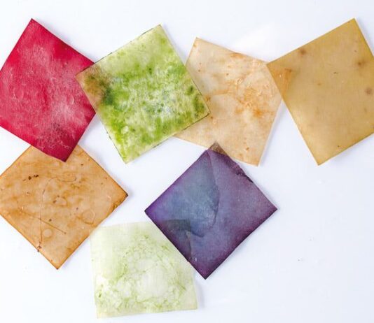 Вместо одноразовой посуды ученые предлагают упаковку из органических отходов