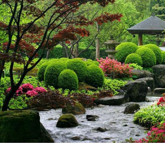 В центре Тернополя может появиться японский сад