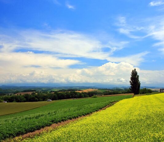 Почему новая кольцевая Тернополя позволит дышать чистым воздухом