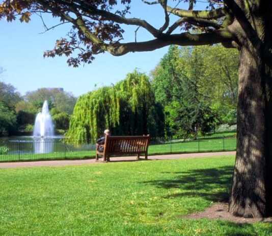Новое "лицо" парка: в Тернополе проводят конкурс