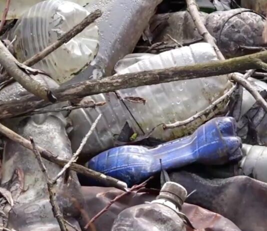 На Тернопольщине одну из рек превратили в свалку