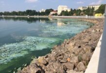 Ученые выяснили, как спасти Тернопольский пруд от загрязнения