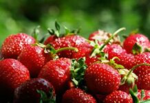 Тернополянам на замітку: топ-3 найшкідливіших продуктів навесні