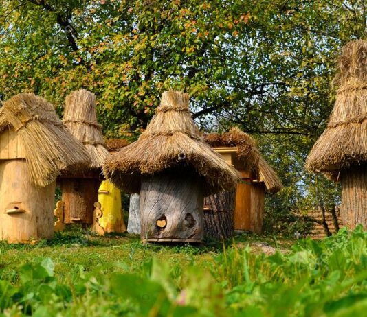 Житель Тернопольщины производит эксклюзивные ульи