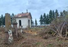 Тернопольские волонтеры расчищают заброшенные кладбища
