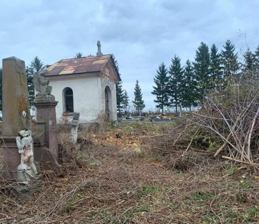 Тернопольские волонтеры расчищают заброшенные кладбища