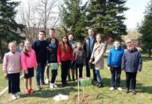 Екзотичні дерева висадили на Тернопільщині