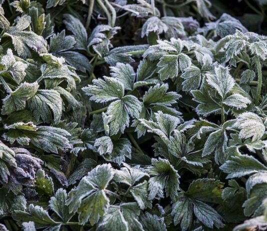 Синоптики о погоде: в Украине холода не отступают