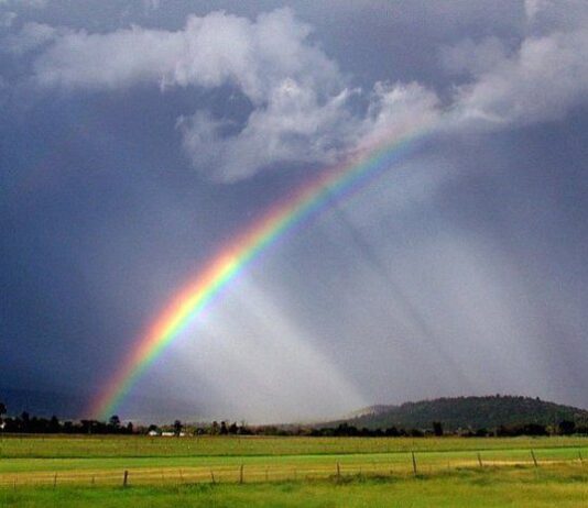 Жара или грозовая неделя: какая погода ожидает жителей Тернополя