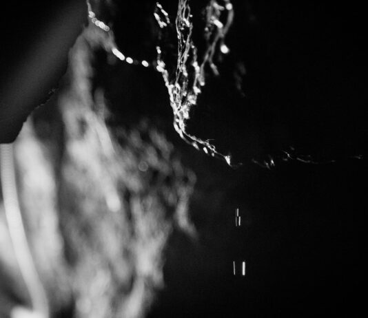 Ловите рыбу в Тернополе? Платите штраф