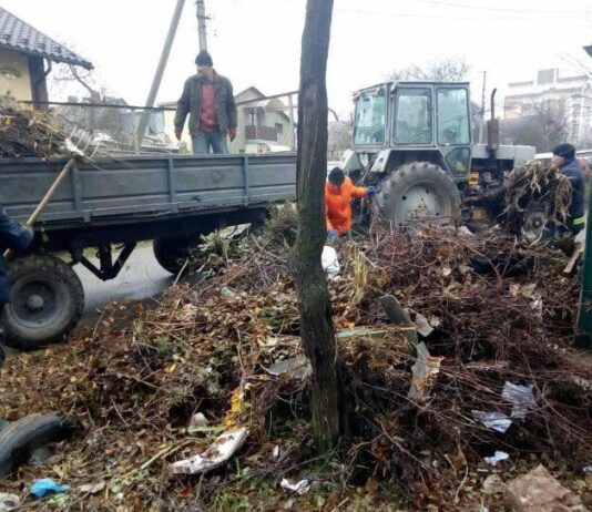 На Тернопольщине появилось два новых свалки