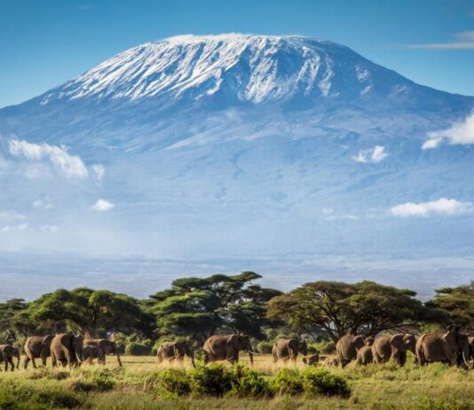 Позади Эльбрус, а впереди Килиманджаро: как тернополянин покоряет мировые вершины?