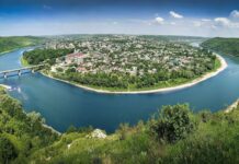 Почему на Тернопольщине продолжают незаконно вырубать деревья?