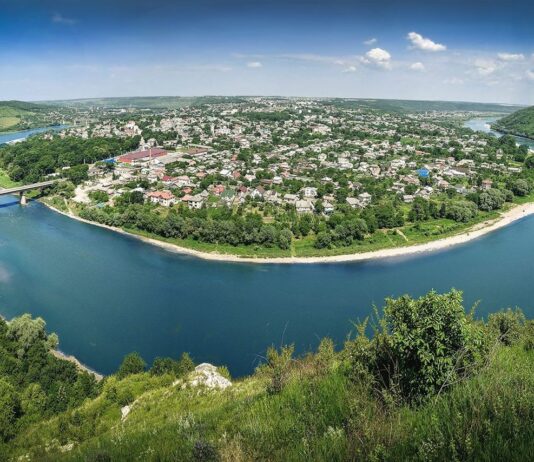 Почему на Тернопольщине продолжают незаконно вырубать деревья?