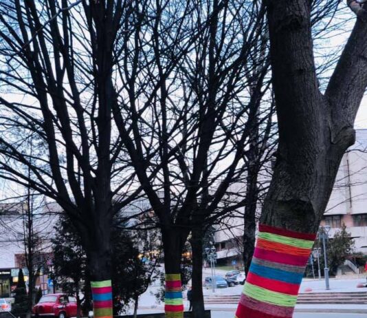 Тернополяни украсили деревья города разными цветами