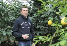 На Тернопільщині подружжя вирощує екзотичний сад