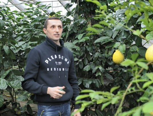 На Тернопольщине супруги выращивают экзотический сад