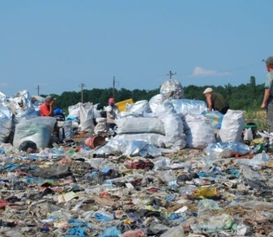 Мэра на Тернопольщине заставили убрать стихийные свалки