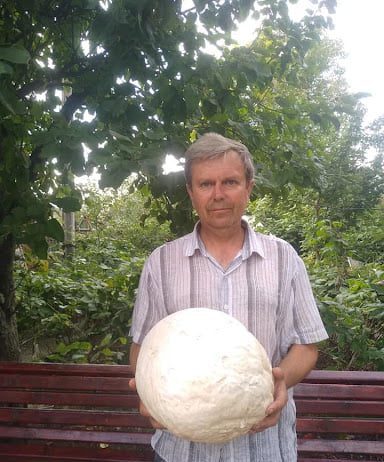 На Тернопольщине мужчина нашел гриб-гигант