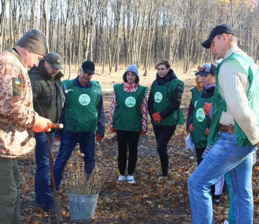 Зеленая страна. Сколько деревьев посадили в Тернопольской области в рамках программы Президента