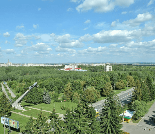 В одном из тернопольских парков срезают сухие деревья