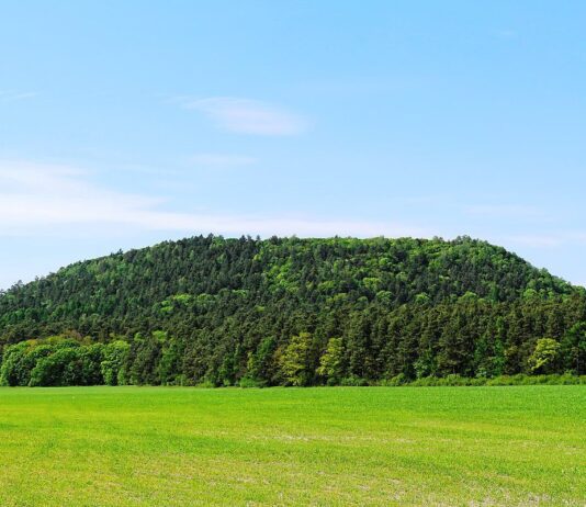 История национального природного парка «Кременецкие горы»